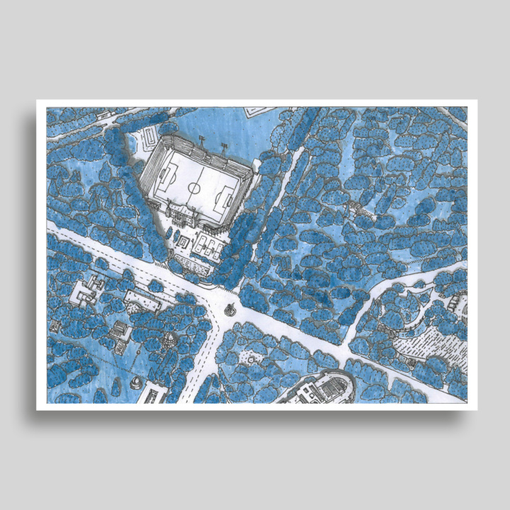 Bosque de La Plata (15x21)